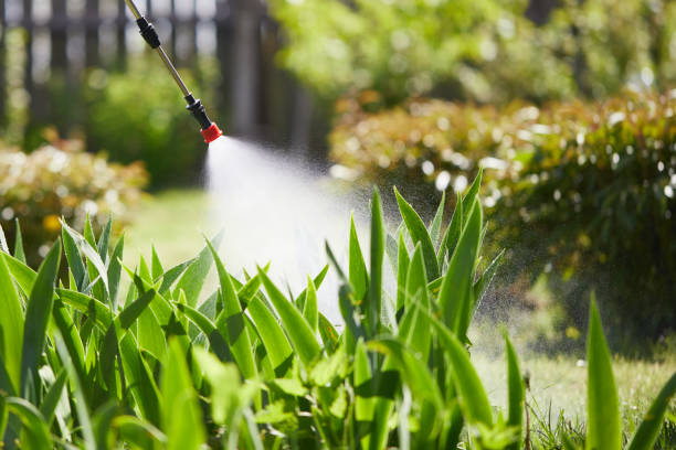 24/7 Emergency Ant Control experts in Beaufort, SC