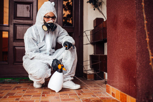 Reliable Ant Control contractor in Beaufort, SC by Show Me Pest Control